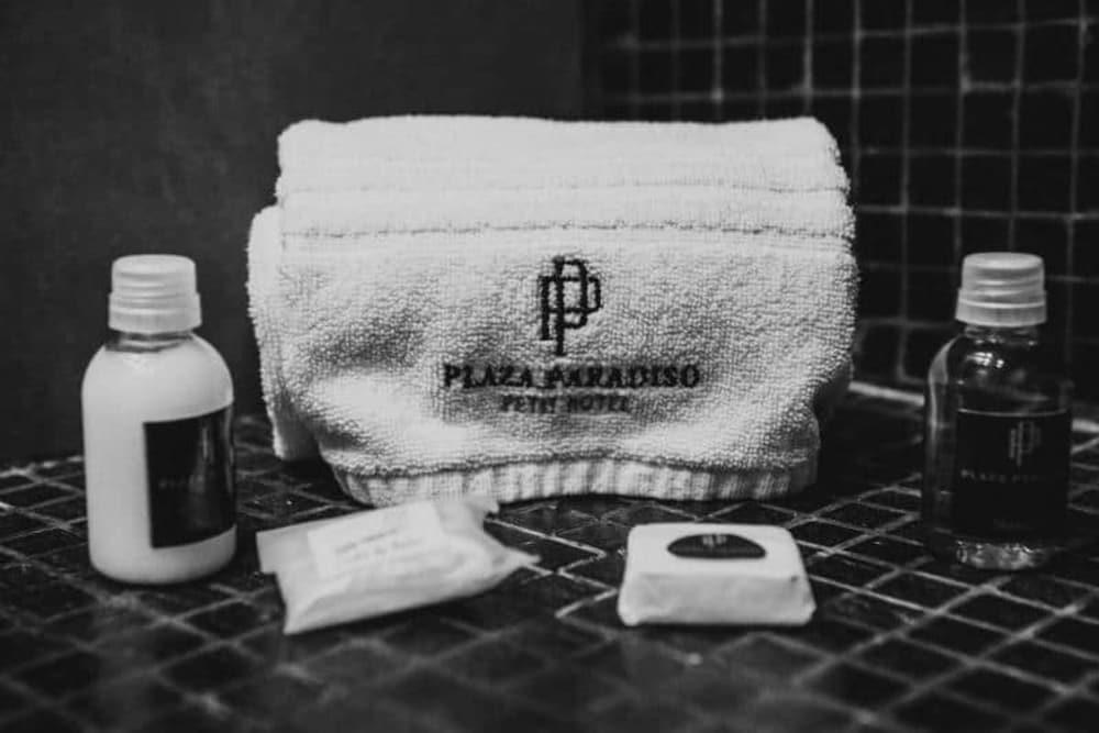 Plaza Paradiso Petit Hotel 4*